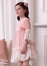 Load image into Gallery viewer, Pink Plumeti Tulle Dress
